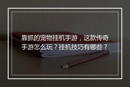 靠抓的宠物挂机手游，这款传奇手游怎么玩？挂机技巧有哪些？