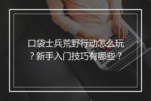 口袋士兵荒野行动怎么玩？新手入门技巧有哪些？