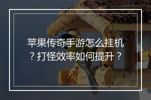 苹果传奇手游怎么挂机？打怪效率如何提升？