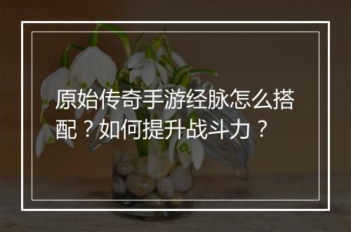 原始传奇手游经脉怎么搭配？如何提升战斗力？