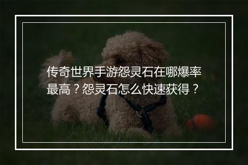 传奇世界手游怨灵石在哪爆率最高？怨灵石怎么快速获得？
