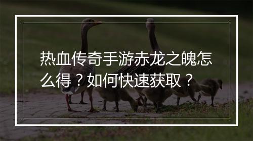 热血传奇手游赤龙之魄怎么得？如何快速获取？
