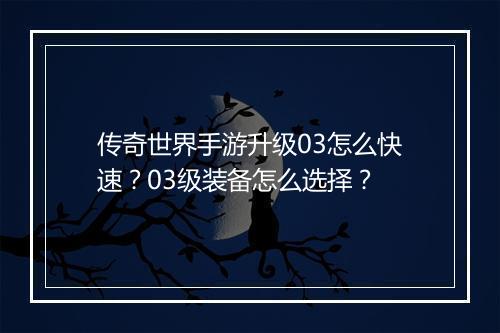 传奇世界手游升级03怎么快速？03级装备怎么选择？