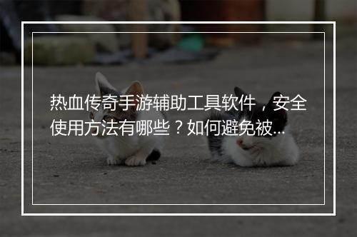 热血传奇手游辅助工具软件，安全使用方法有哪些？如何避免被封号？