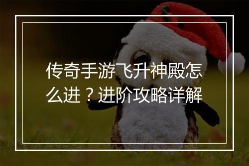 传奇手游飞升神殿怎么进？进阶攻略详解