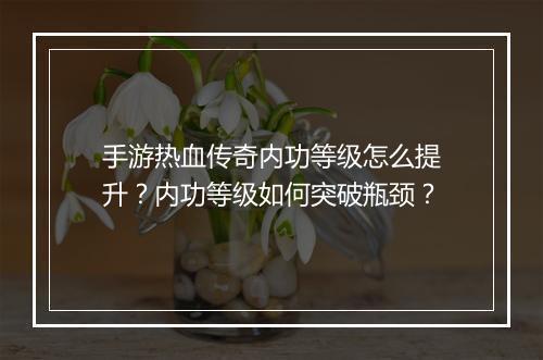 手游热血传奇内功等级怎么提升？内功等级如何突破瓶颈？