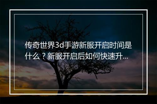 传奇世界3d手游新服开启时间是什么？新服开启后如何快速升级？