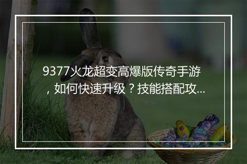 9377火龙超变高爆版传奇手游，如何快速升级？技能搭配攻略？