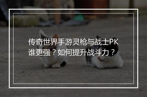 传奇世界手游灵枪与战士PK谁更强？如何提升战斗力？