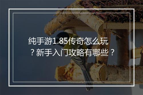 纯手游1.85传奇怎么玩？新手入门攻略有哪些？