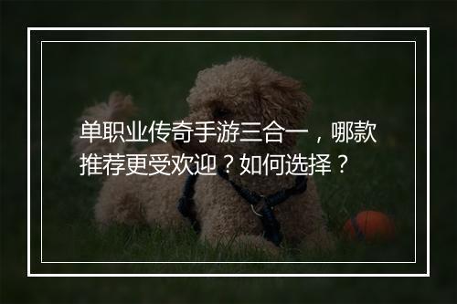 单职业传奇手游三合一，哪款推荐更受欢迎？如何选择？
