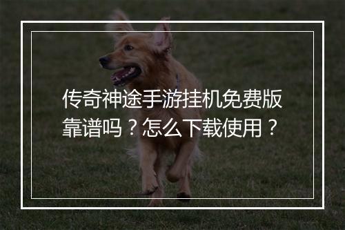 传奇神途手游挂机免费版靠谱吗？怎么下载使用？