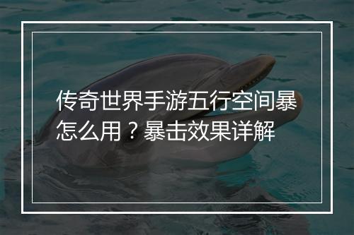 传奇世界手游五行空间暴怎么用？暴击效果详解