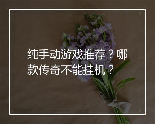 纯手动游戏推荐？哪款传奇不能挂机？