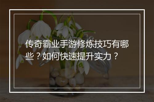 传奇霸业手游修炼技巧有哪些？如何快速提升实力？