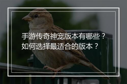 手游传奇神宠版本有哪些？如何选择最适合的版本？