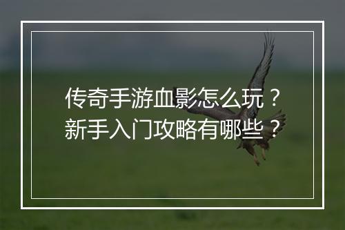 传奇手游血影怎么玩？新手入门攻略有哪些？