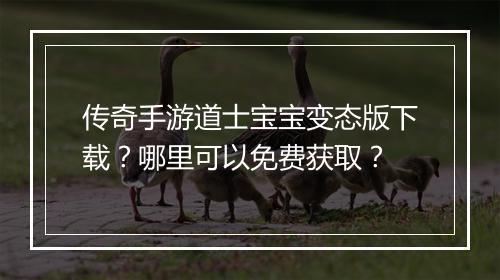 传奇手游道士宝宝变态版下载？哪里可以免费获取？