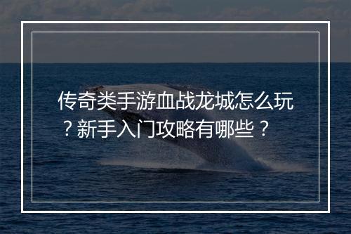 传奇类手游血战龙城怎么玩？新手入门攻略有哪些？