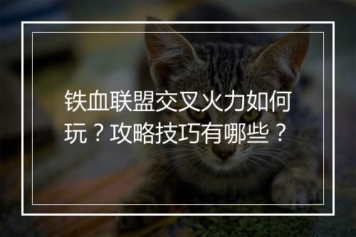 铁血联盟交叉火力如何玩？攻略技巧有哪些？