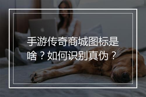 手游传奇商城图标是啥？如何识别真伪？