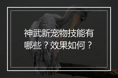 神武新宠物技能有哪些？效果如何？