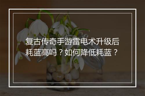 复古传奇手游雷电术升级后耗蓝高吗？如何降低耗蓝？