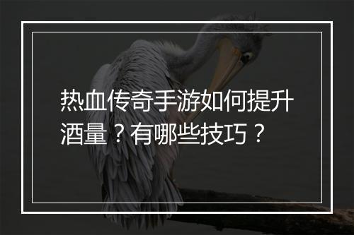热血传奇手游如何提升酒量？有哪些技巧？