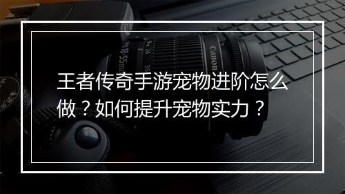 王者传奇手游宠物进阶怎么做？如何提升宠物实力？