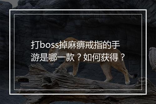 打boss掉麻痹戒指的手游是哪一款？如何获得？