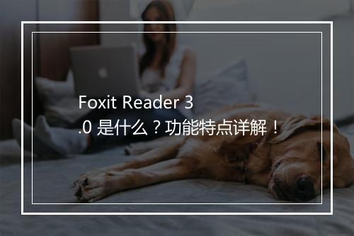 Foxit Reader 3.0 是什么？功能特点详解！