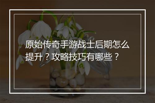 原始传奇手游战士后期怎么提升？攻略技巧有哪些？