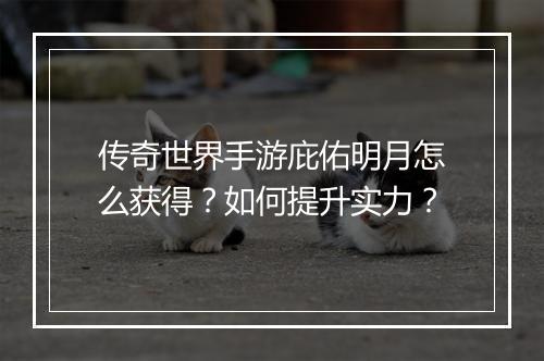 传奇世界手游庇佑明月怎么获得？如何提升实力？