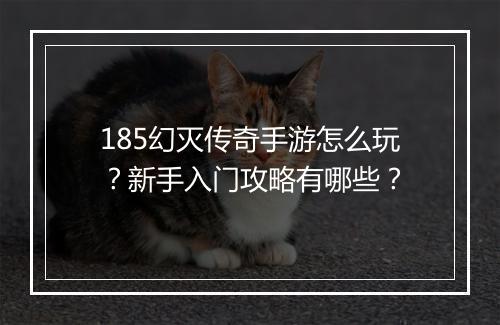 185幻灭传奇手游怎么玩？新手入门攻略有哪些？