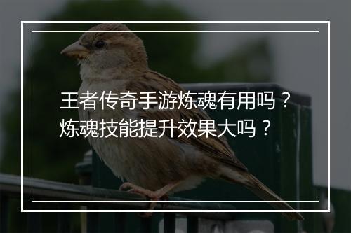 王者传奇手游炼魂有用吗？炼魂技能提升效果大吗？