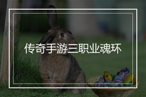 传奇手游三职业魂环