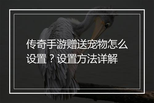 传奇手游赠送宠物怎么设置？设置方法详解