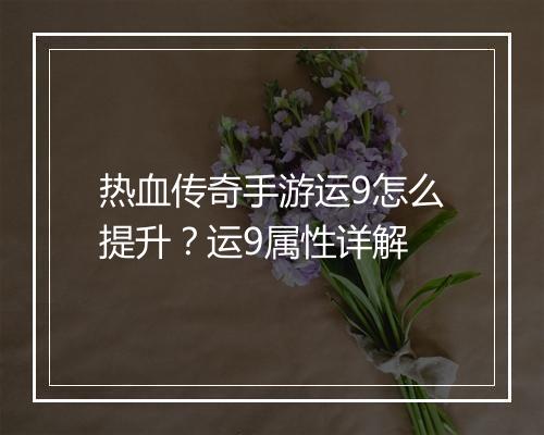 热血传奇手游运9怎么提升？运9属性详解