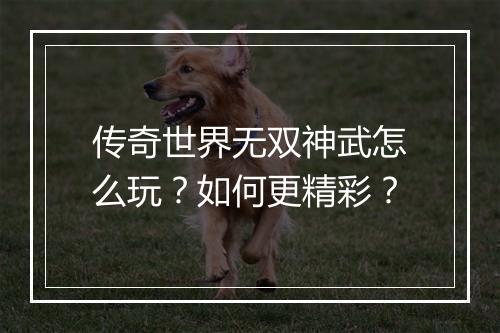 传奇世界无双神武怎么玩？如何更精彩？
