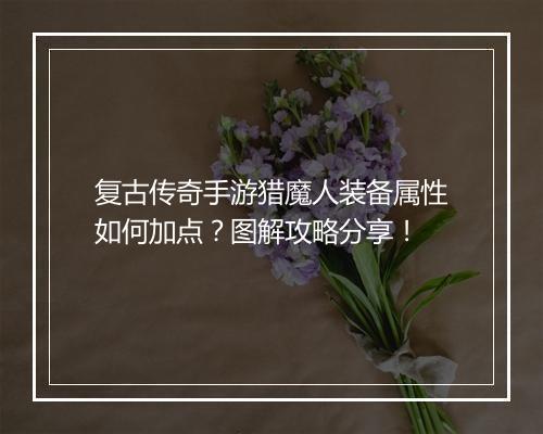 复古传奇手游猎魔人装备属性如何加点？图解攻略分享！