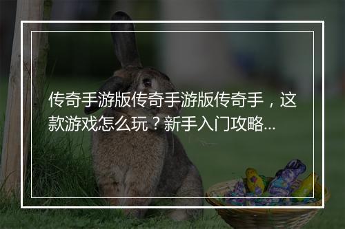 传奇手游版传奇手游版传奇手，这款游戏怎么玩？新手入门攻略？