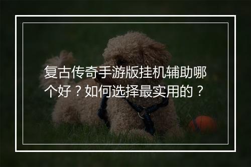 复古传奇手游版挂机辅助哪个好？如何选择最实用的？