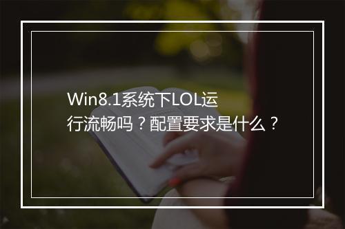 Win8.1系统下LOL运行流畅吗？配置要求是什么？