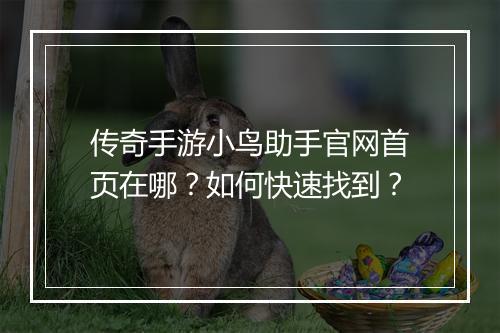 传奇手游小鸟助手官网首页在哪？如何快速找到？