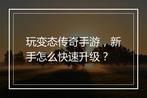 玩变态传奇手游，新手怎么快速升级？