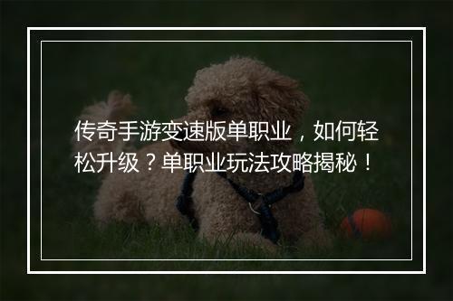 传奇手游变速版单职业，如何轻松升级？单职业玩法攻略揭秘！