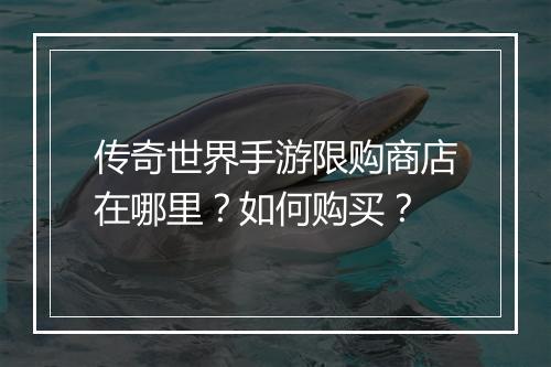 传奇世界手游限购商店在哪里？如何购买？