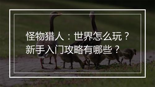 怪物猎人：世界怎么玩？新手入门攻略有哪些？