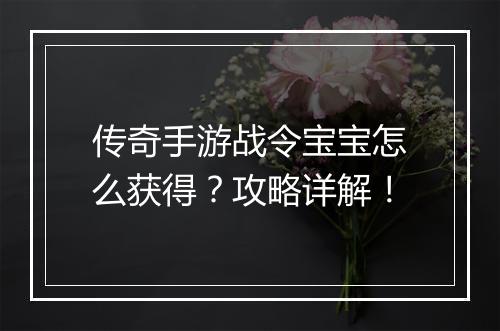 传奇手游战令宝宝怎么获得？攻略详解！