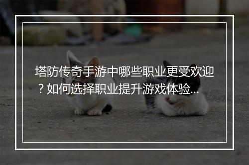 塔防传奇手游中哪些职业更受欢迎？如何选择职业提升游戏体验？